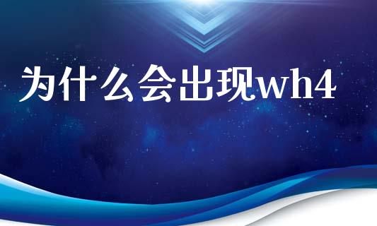 为什么会出现wh4_https://www.gongyisiwang.com_原油期货_第1张