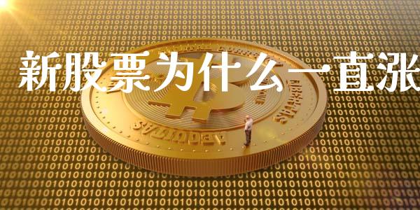 新股票为什么一直涨_https://www.gongyisiwang.com_恒指期货_第1张