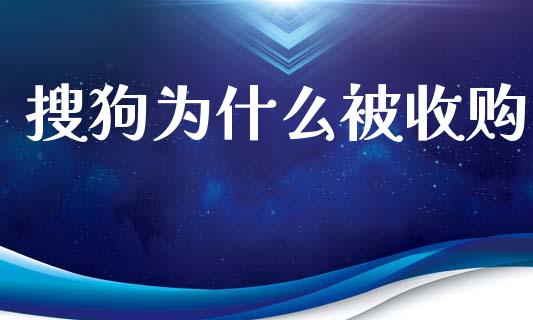 搜狗为什么被收购_https://www.gongyisiwang.com_焦炭期货手续费_第1张
