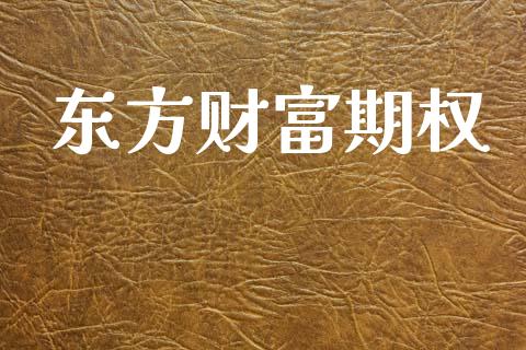 东方财富期权_https://www.gongyisiwang.com_原油期货_第1张