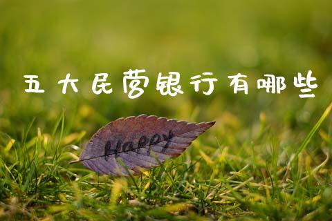 五大民营银行有哪些_https://www.gongyisiwang.com_广发期货手续费_第1张