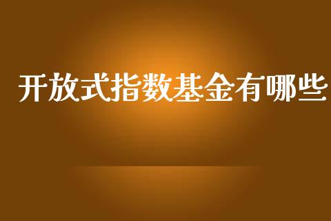 开放式指数基金有哪些_https://www.gongyisiwang.com_恒指期货_第1张