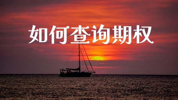 如何查询期权_https://www.gongyisiwang.com_广发期货手续费_第1张