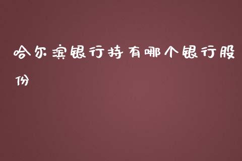 哈尔滨银行持有哪个银行股份_https://www.gongyisiwang.com_期货公司手续费排名_第1张