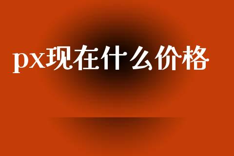 px现在什么价格_https://www.gongyisiwang.com_道指_第1张