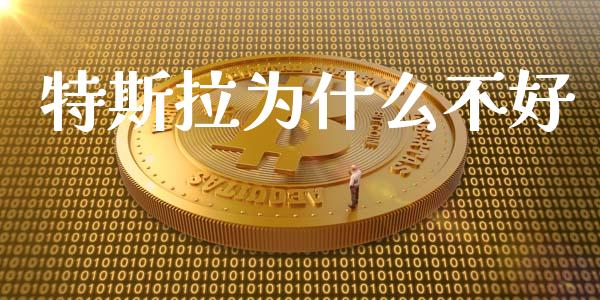 特斯拉为什么不好_https://www.gongyisiwang.com_道指_第1张