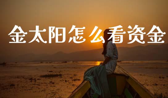 金太阳怎么看资金_https://www.gongyisiwang.com_恒指期货_第1张