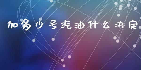 加多少号汽油什么决定_https://www.gongyisiwang.com_广发期货手续费_第1张