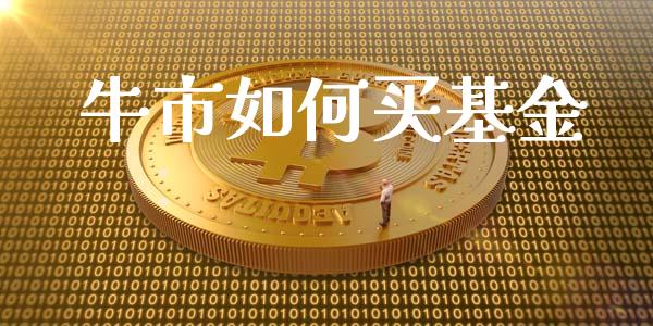 牛市如何买基金_https://www.gongyisiwang.com_原油期货_第1张