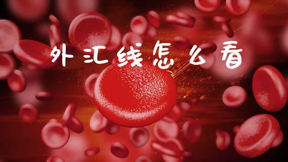 外汇线怎么看_https://www.gongyisiwang.com_恒指期货_第1张
