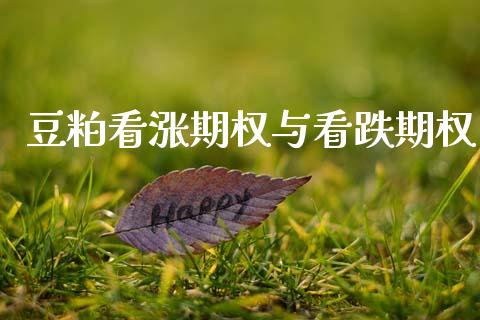 豆粕看涨期权与看跌期权_https://www.gongyisiwang.com_焦炭期货手续费_第1张