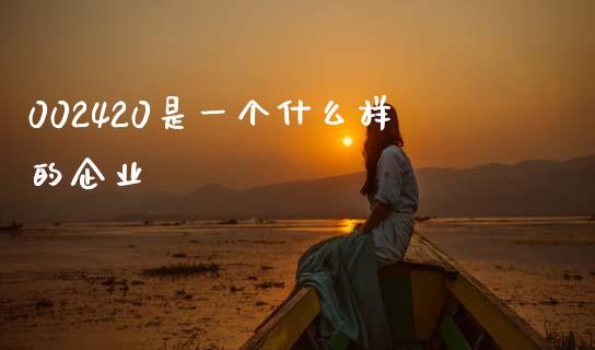 002420是一个什么样的企业_https://www.gongyisiwang.com_原油期货_第1张