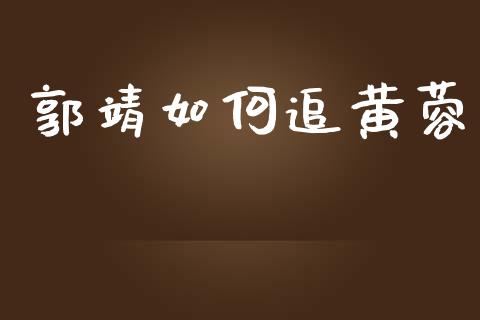 郭靖如何追黄蓉_https://www.gongyisiwang.com_股指期货交易手续费_第1张