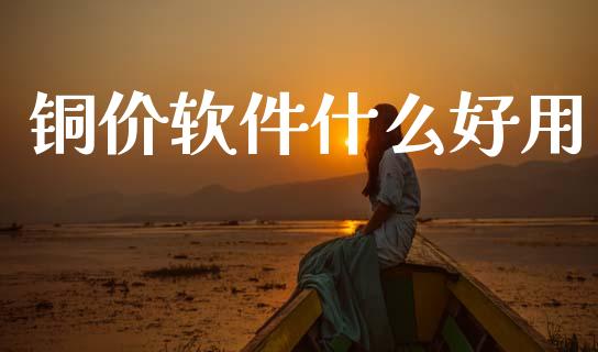 铜价软件什么好用_https://www.gongyisiwang.com_焦炭期货手续费_第1张