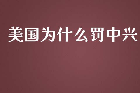 美国为什么罚中兴_https://www.gongyisiwang.com_广发期货手续费_第1张