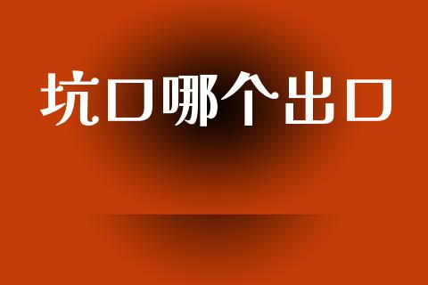 坑口哪个出口_https://www.gongyisiwang.com_股指期货交易手续费_第1张