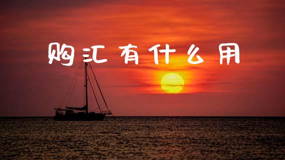购汇有什么用_https://www.gongyisiwang.com_原油期货_第1张