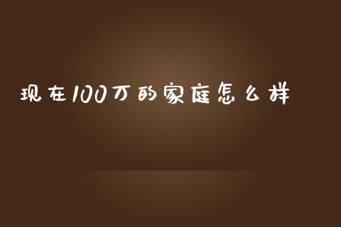 现在100万的家庭怎么样_https://www.gongyisiwang.com_焦炭期货手续费_第1张
