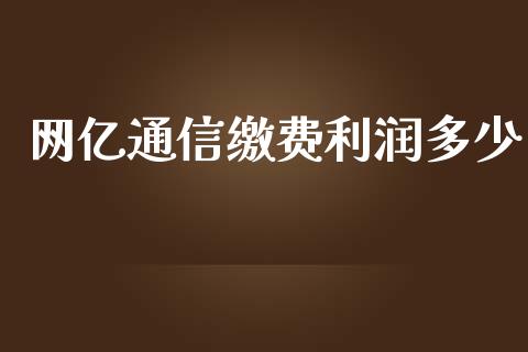 网亿通信缴费利润多少_https://www.gongyisiwang.com_期货公司手续费排名_第1张