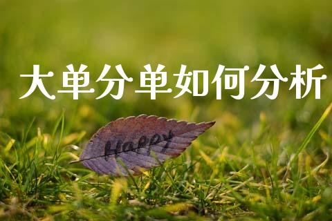大单分单如何分析_https://www.gongyisiwang.com_原油期货_第1张
