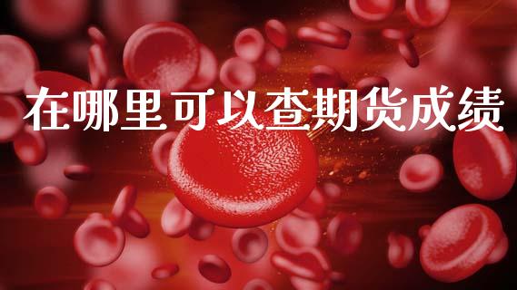 在哪里可以查期货成绩_https://www.gongyisiwang.com_原油期货_第1张