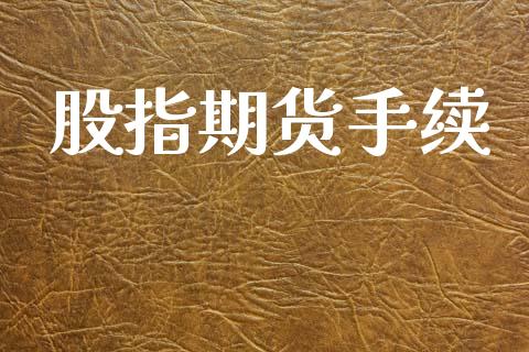 股指期货手续_https://www.gongyisiwang.com_焦炭期货手续费_第1张