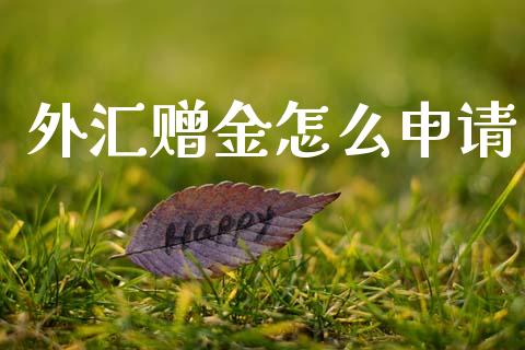 外汇赠金怎么申请_https://www.gongyisiwang.com_广发期货手续费_第1张