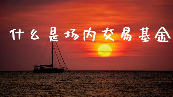 什么是场内交易基金_https://www.gongyisiwang.com_焦炭期货手续费_第1张