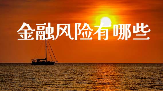金融风险有哪些_https://www.gongyisiwang.com_股指期货_第1张