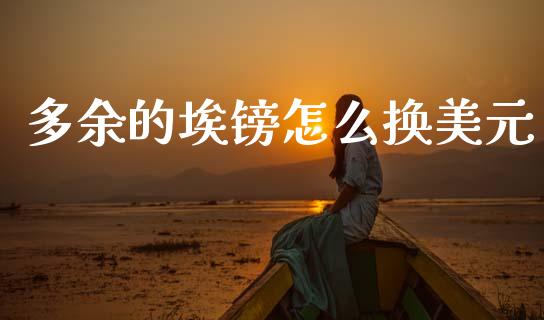 多余的埃镑怎么换美元_https://www.gongyisiwang.com_焦炭期货手续费_第1张