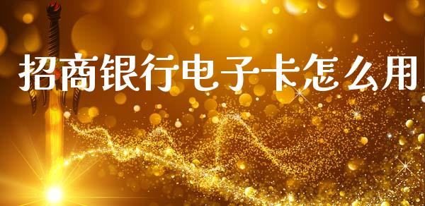 招商银行电子卡怎么用_https://www.gongyisiwang.com_焦炭期货手续费_第1张