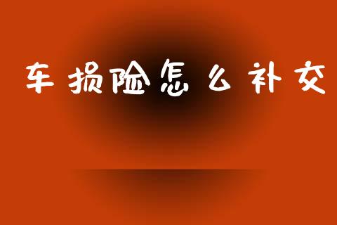 车损险怎么补交_https://www.gongyisiwang.com_广发期货手续费_第1张