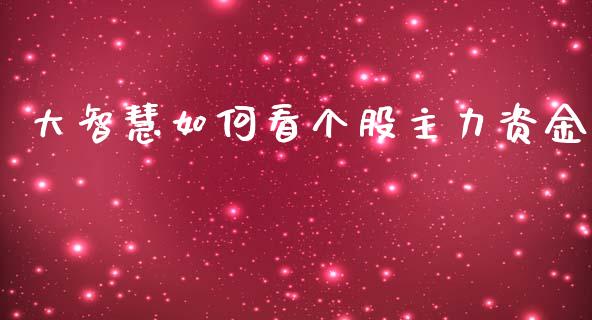 大智慧如何看个股主力资金_https://www.gongyisiwang.com_恒指期货_第1张