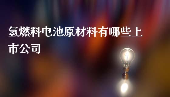 氢燃料电池原材料有哪些上市公司_https://www.gongyisiwang.com_恒指期货_第1张