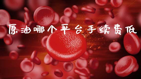 原油哪个平台手续费低_https://www.gongyisiwang.com_恒指期货_第1张