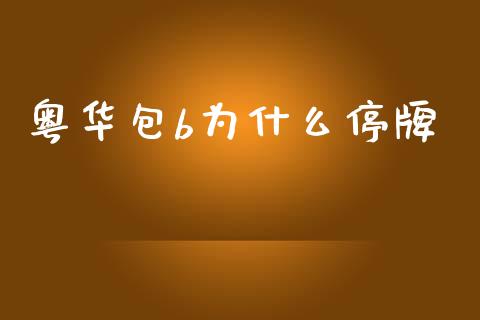 粤华包b为什么停牌_https://www.gongyisiwang.com_股指期货_第1张
