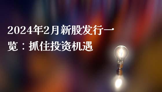 2024年2月新股发行一览：抓住投资机遇_https://www.gongyisiwang.com_股指期货交易手续费_第1张