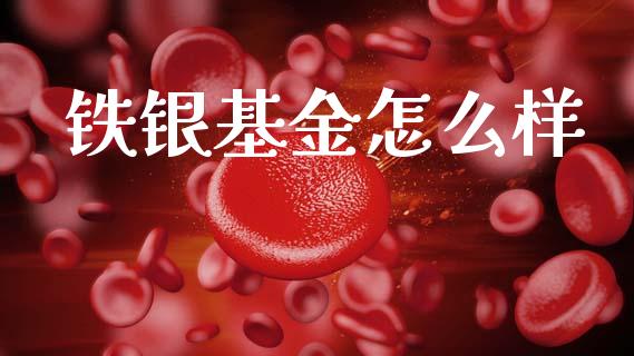 铁银基金怎么样_https://www.gongyisiwang.com_广发期货手续费_第1张