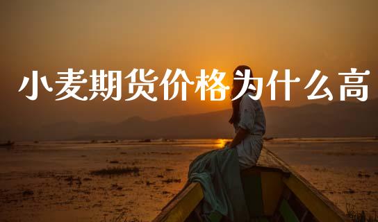 小麦期货价格为什么高_https://www.gongyisiwang.com_恒指期货_第1张