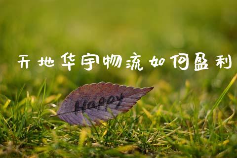天地华宇物流如何盈利_https://www.gongyisiwang.com_道指_第1张