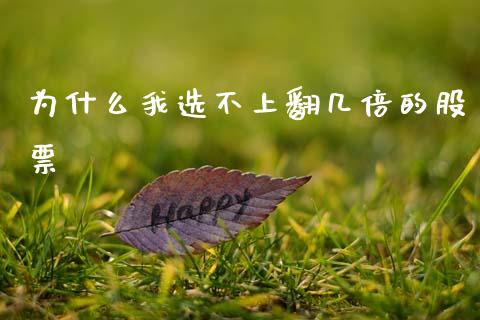 为什么我选不上翻几倍的股票_https://www.gongyisiwang.com_焦炭期货手续费_第1张