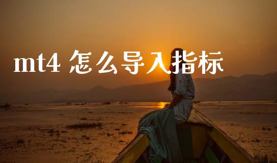 mt4 怎么导入指标_https://www.gongyisiwang.com_股指期货_第1张
