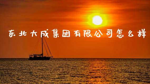 东北大成集团有限公司怎么样_https://www.gongyisiwang.com_期货公司手续费排名_第1张