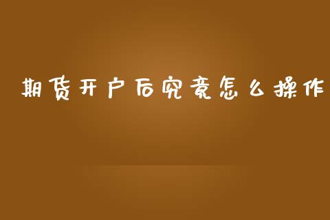 期货开户后究竟怎么操作_https://www.gongyisiwang.com_焦炭期货手续费_第1张