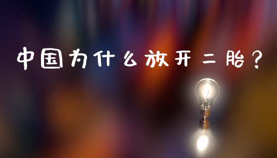 中国为什么放开二胎？_https://www.gongyisiwang.com_焦炭期货手续费_第1张
