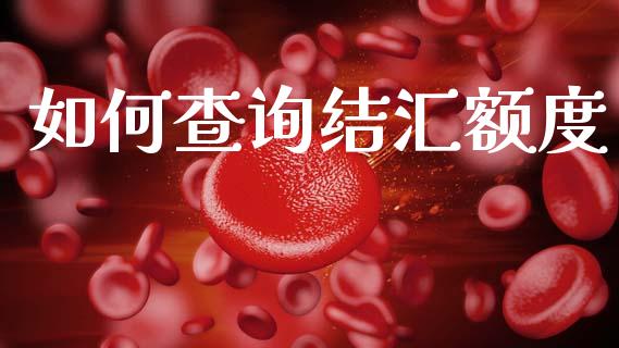 如何查询结汇额度_https://www.gongyisiwang.com_原油期货_第1张