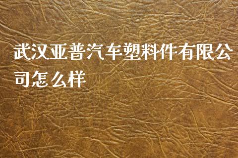 武汉亚普汽车塑料件有限公司怎么样_https://www.gongyisiwang.com_焦炭期货手续费_第1张