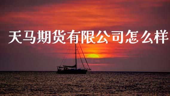 天马期货有限公司怎么样_https://www.gongyisiwang.com_广发期货手续费_第1张