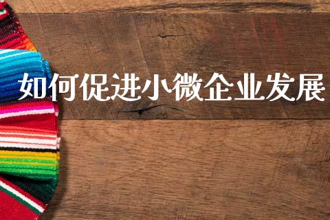 如何促进小微企业发展_https://www.gongyisiwang.com_股指期货交易手续费_第1张