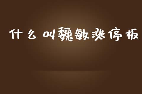什么叫魏敏涨停板_https://www.gongyisiwang.com_股指期货交易手续费_第1张
